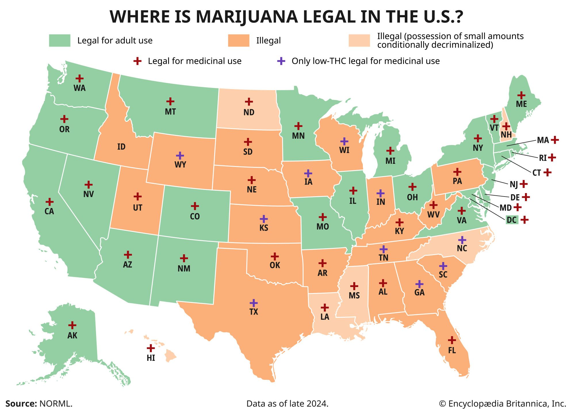 2026 Cannabis Laws Update: What the New Connoisseur Must Know About State Regulations