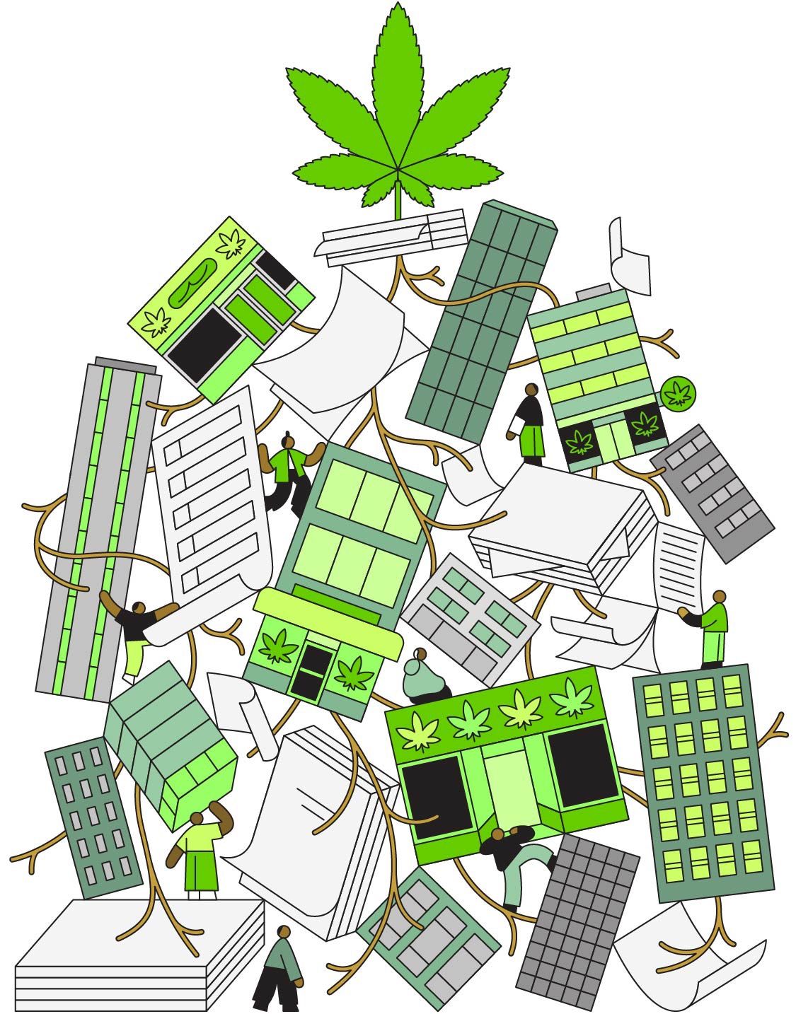 Cannabis Laws & Strain Trends