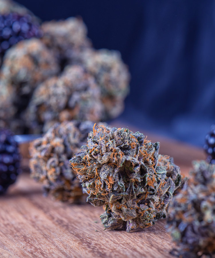 The Cannabis Connoisseur’s