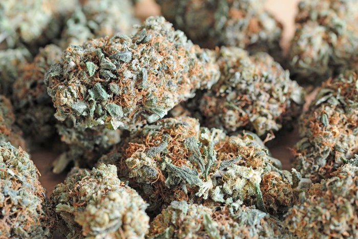 Weed Almighty: 2026 Cannabis Laws and Strain Guide
