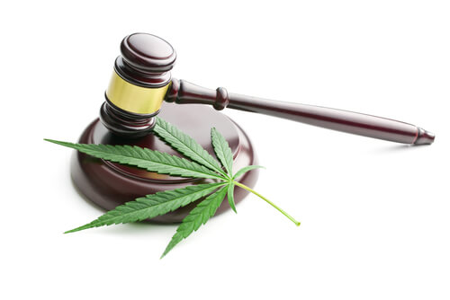 Cannabis Law Updates