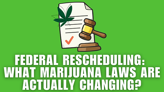 Cannabis Laws Update