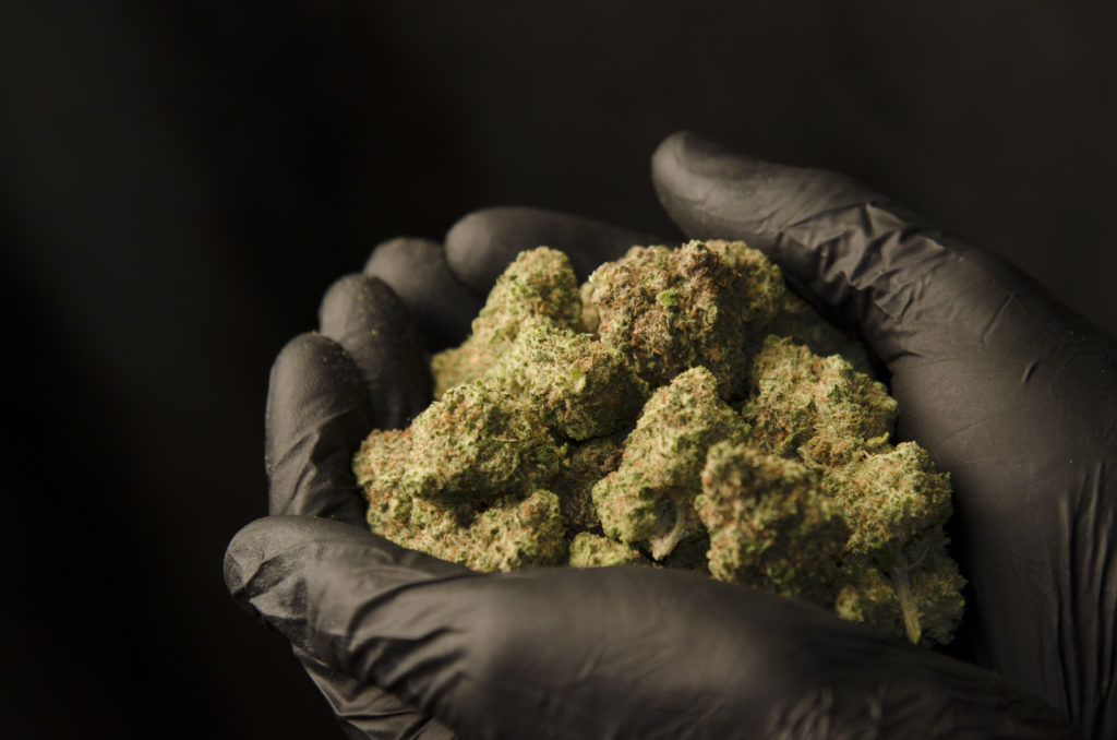The Cannabis Connoisseur’s to Edibles