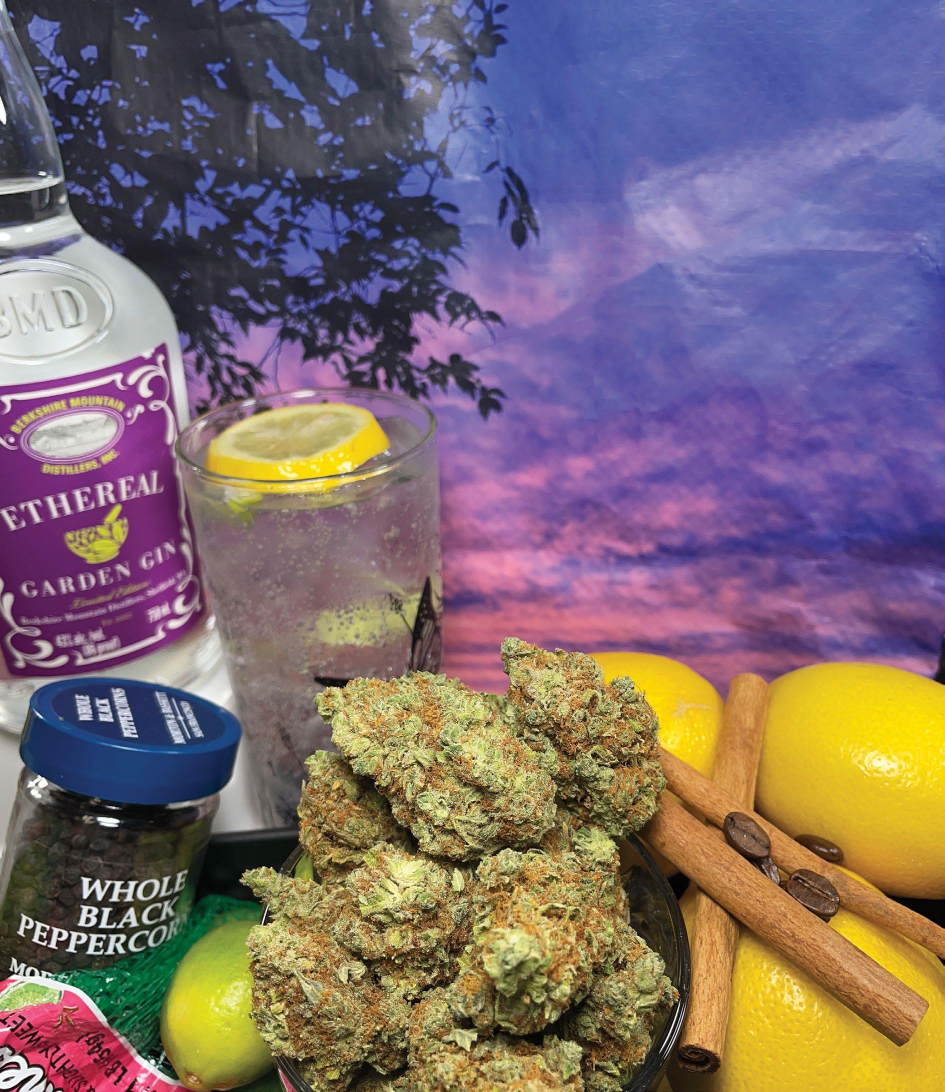 Advanced Weed Almighty Recipes the Cannabis Connoisseur Cannabis-Infused Artisanal Olive Oil