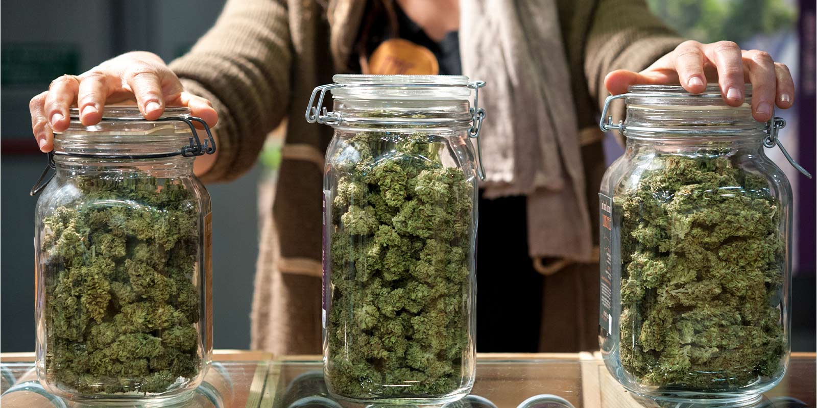 Cannabis Laws & Strain
