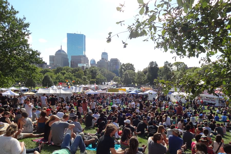 Boston Freedom Rally cannabis