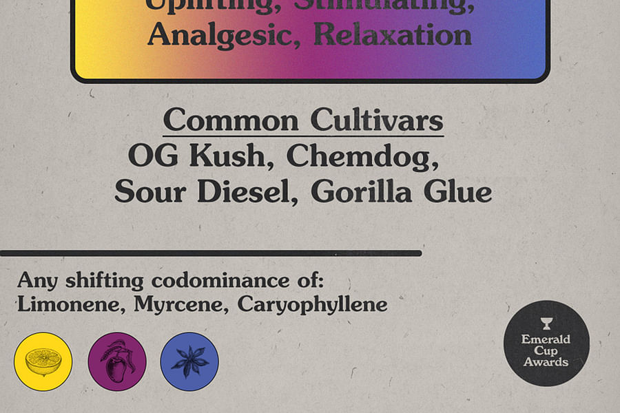 Emerald Cup cannabis