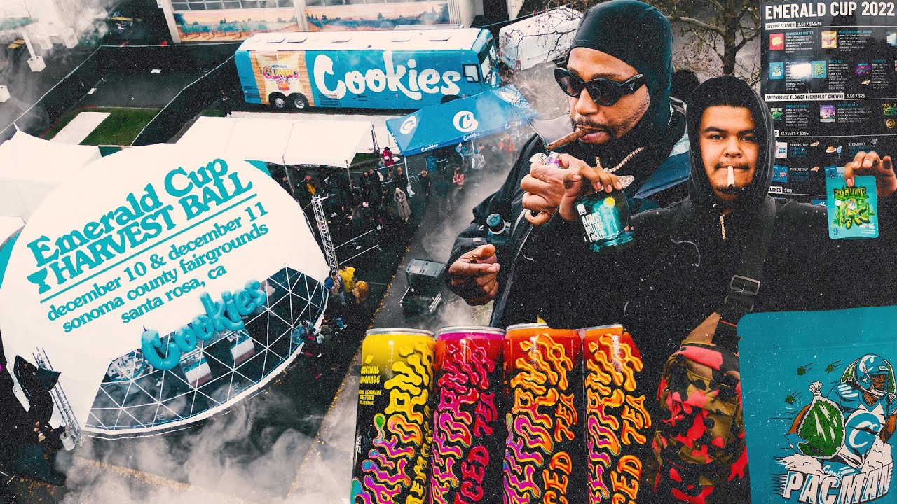 Emerald Cup festival