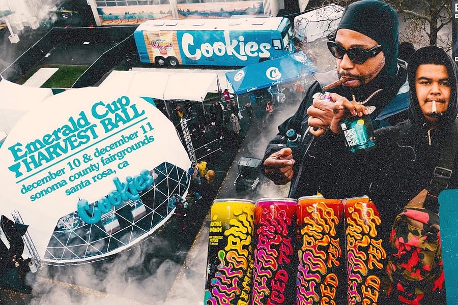 Emerald Cup festival