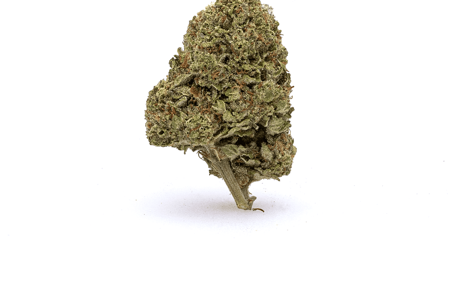 Granddaddy Purple cannabis