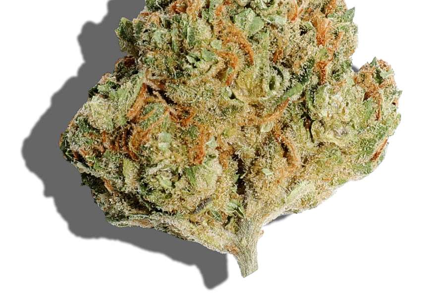 Sour Diesel cannabis