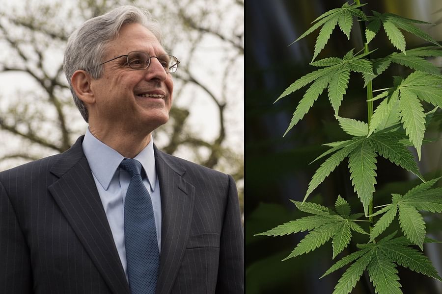 cannabis legal advisor