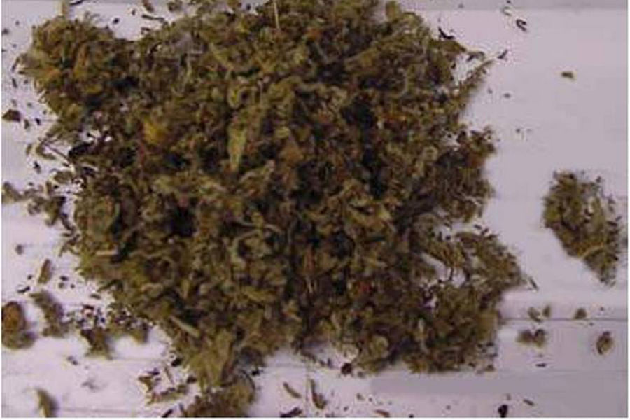 cannabis quality control inspector