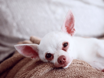 A Beginner's Guide to Understanding Weed Measurements and Quantities