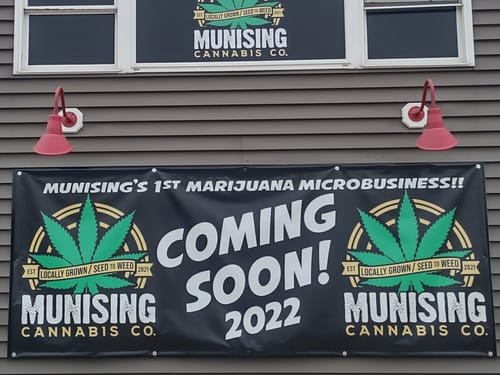 Breaking Ground: How to Start Your Own Cannabis Business Social Network