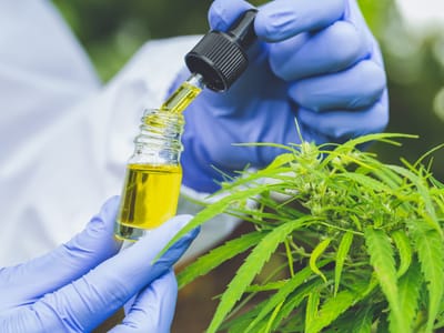 Cannabis and Your Health: Debunking Common Myths and Misconceptions