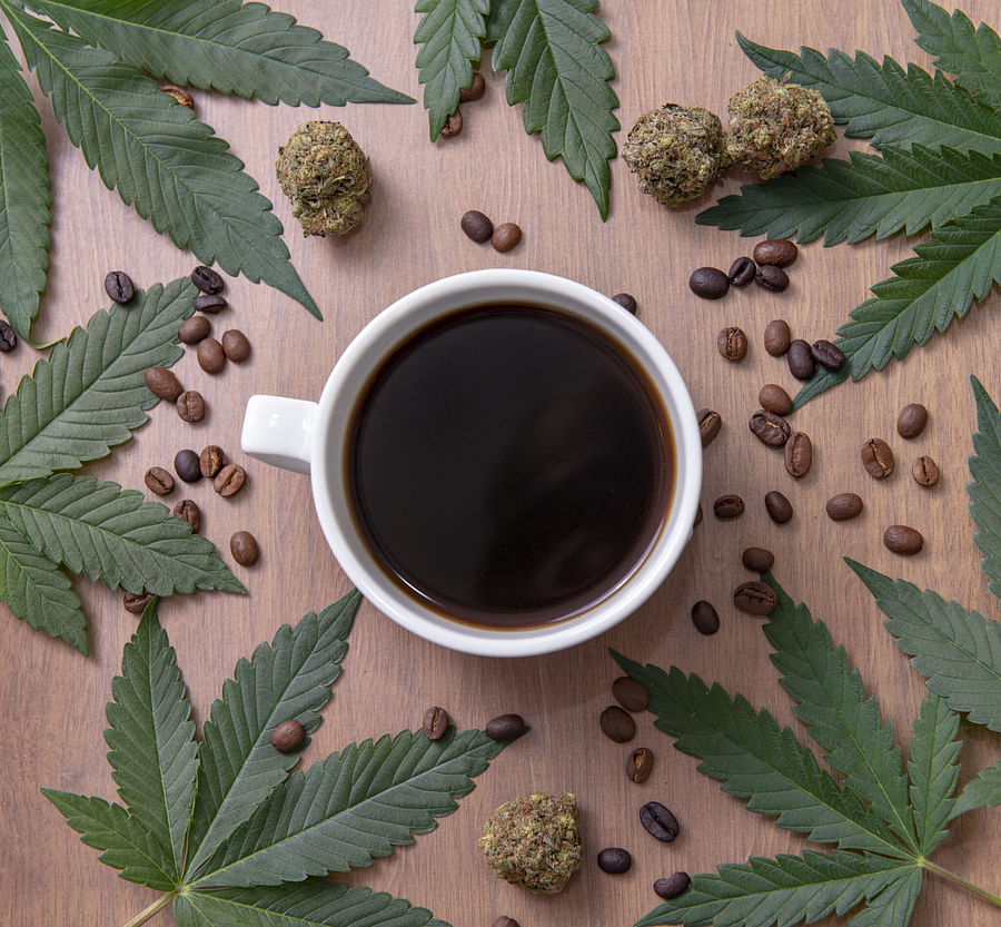 Cannabis-infused coffee in a cup surrounded by coffee beans