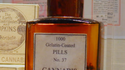 Deciphering Cannabis Laws: Is Weed Legal in Florida and What Does This Mean for You?
