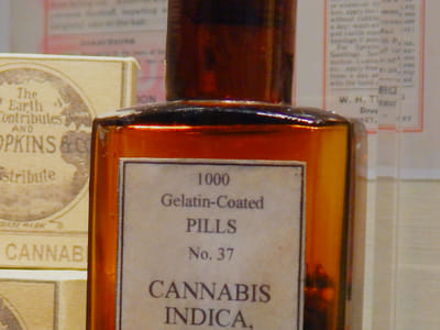 Deciphering Cannabis Laws: Is Weed Legal in Florida and What Does This Mean for You?