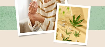 Cannabis Consumption