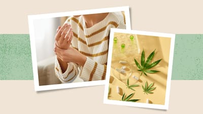 Discovering Cannabis Tea: A Comparison of the Effects and Benefits of Different Strains