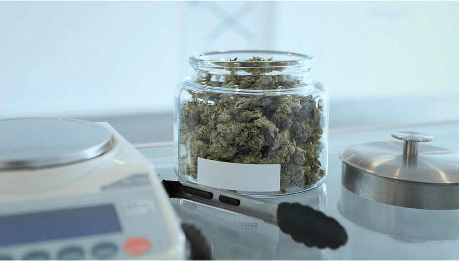 A scale displaying various amounts of cannabis in both grams and ounces, with labels indicating the corresponding weight measurement units.