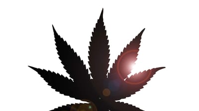 The Connection Between Cannabis and Creativity: How It Influences Art, Music, and Literature