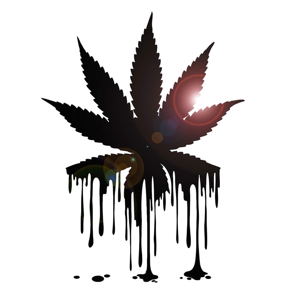 The Connection Between Cannabis and Creativity: How It Influences Art, Music, and Literature