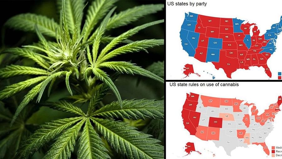 U.S map illustrating varying cannabis regulations across states