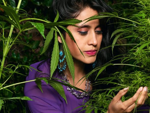 The Role of Cannabis in the Job Market: Emerging Opportunities and How to Secure Cannabis Jobs Near You