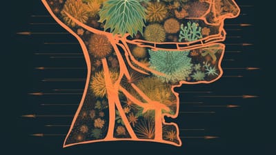 The Science of Cannabis: An Overview of Its Effects, Benefits, and Potential Risks