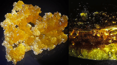 Understanding Cannabis Concentrates: How to Use Wax, Shatter, and Rosin