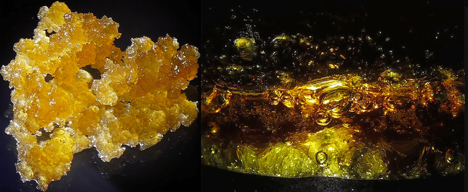 Understanding Cannabis Concentrates: How to Use Wax, Shatter, and Rosin