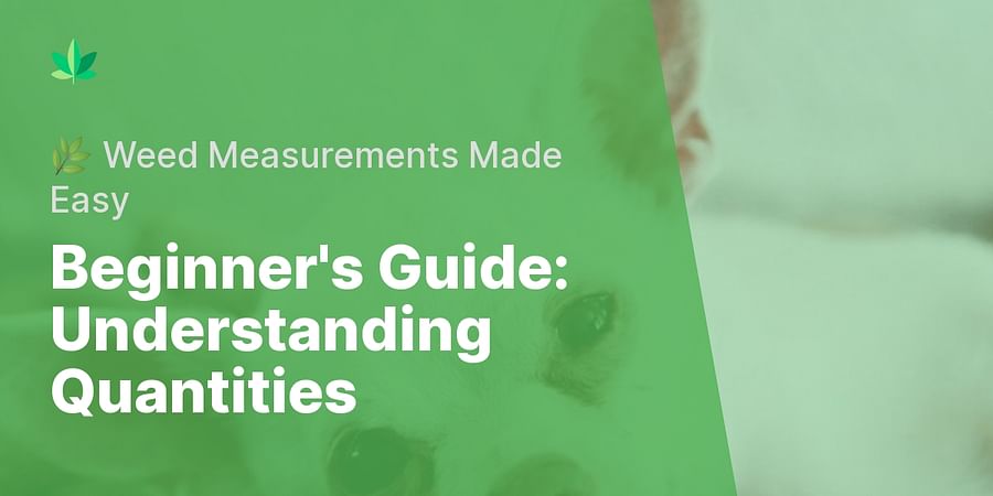 Beginner's Guide: Understanding Quantities - 🌿 Weed Measurements Made Easy