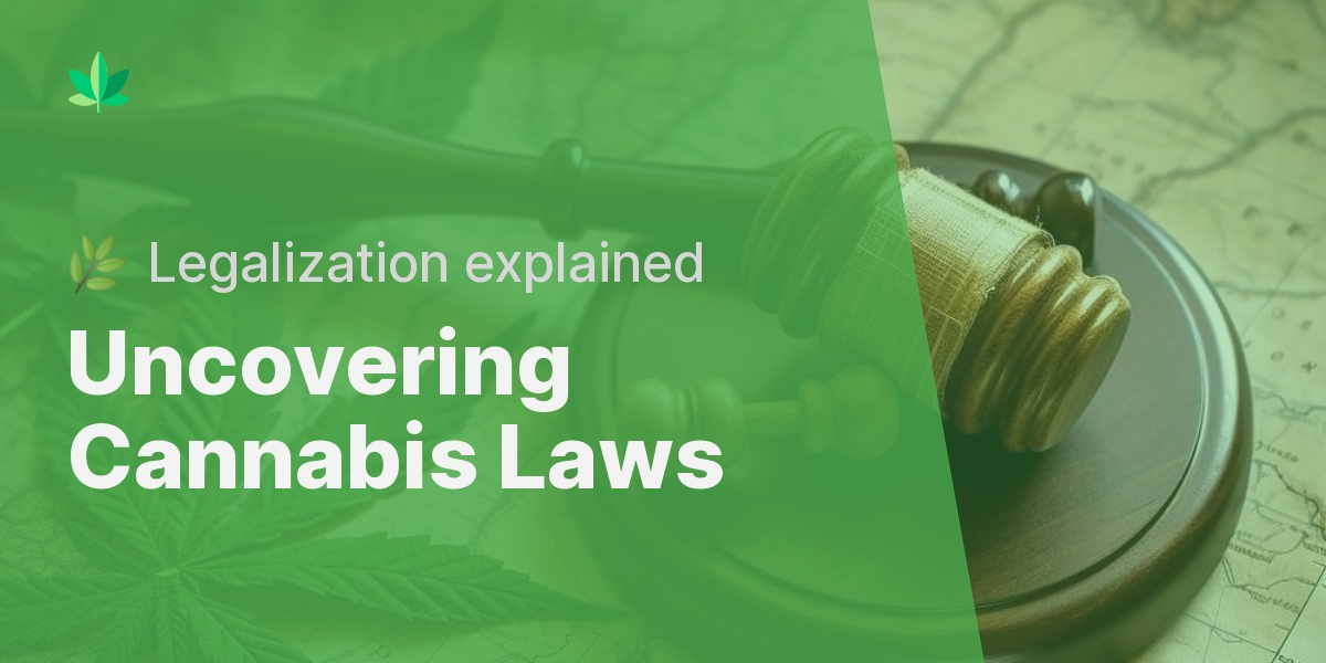 A Deep Dive Into Cannabis Laws: Understanding Legalization ...