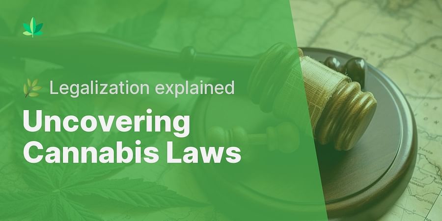 A Deep Dive into Cannabis Laws: Understanding Legalization ...