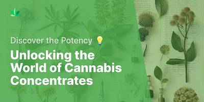 Unlocking the World of Cannabis Concentrates - Discover the Potency 💡