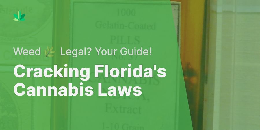 Cracking Florida's Cannabis Laws - Weed 🌿 Legal? Your Guide!