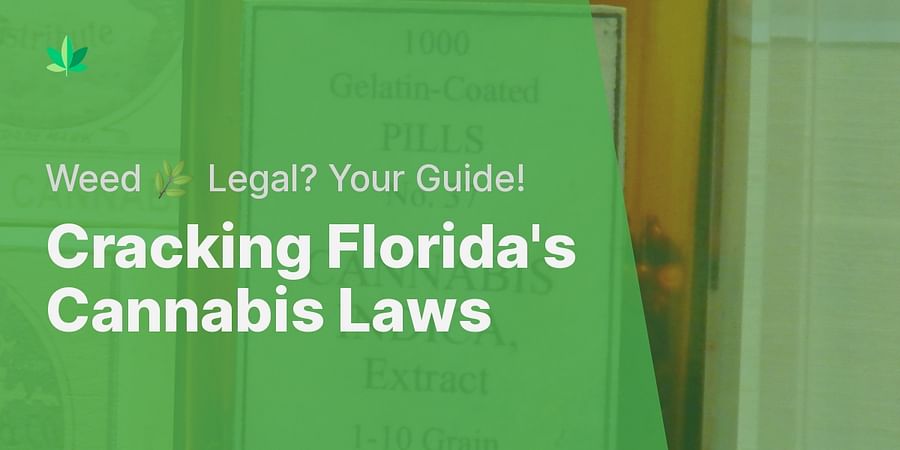 Deciphering Cannabis Laws: Is Weed Legal in Florida and What Does This ...