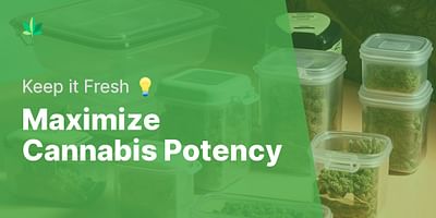 Maximize Cannabis Potency - Keep it Fresh 💡