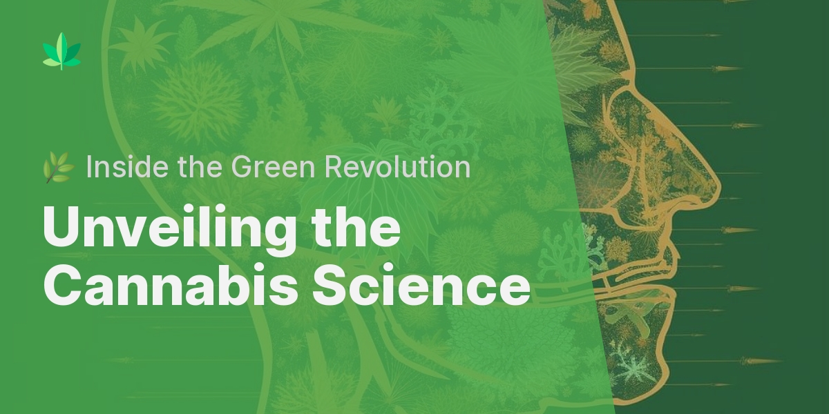 The Science Of Cannabis: An Overview Of Its Effects, Benefits, And ...