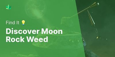 Discover Moon Rock Weed - Find It 💡