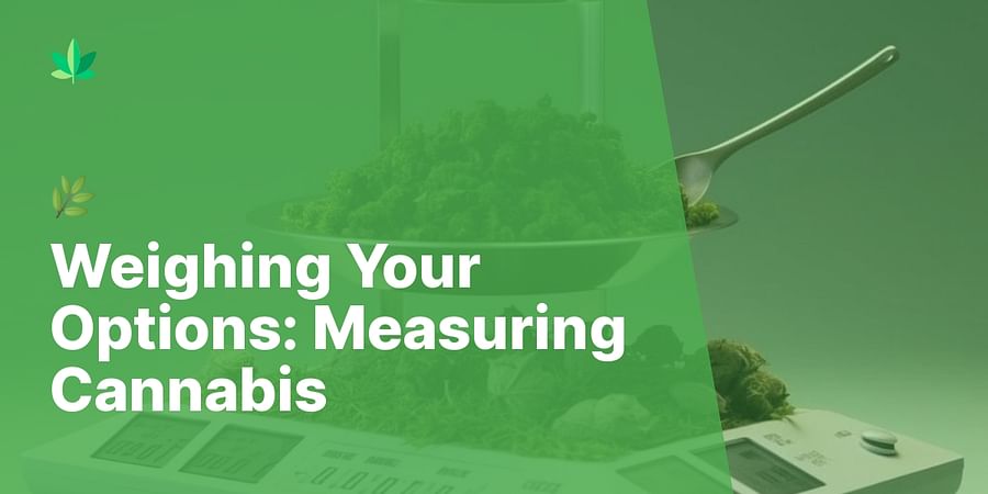 Weighing Your Options: Measuring Cannabis - 🌿