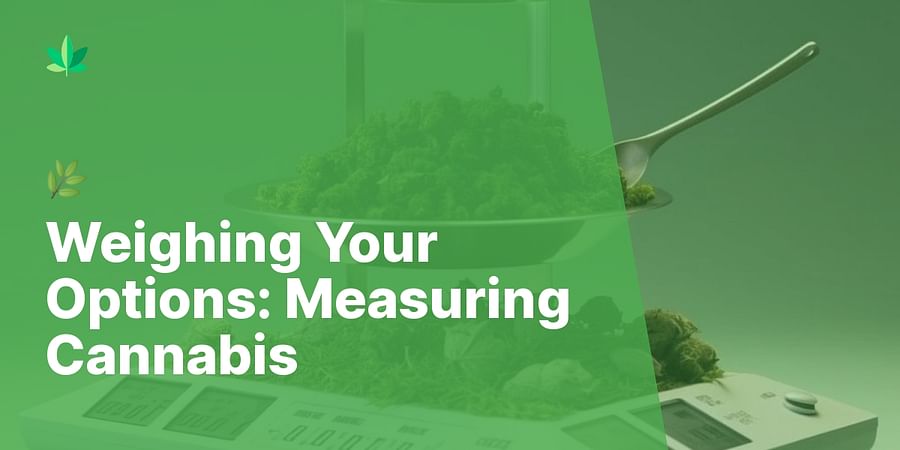 Weighing Your Options: Measuring Cannabis - πΏ