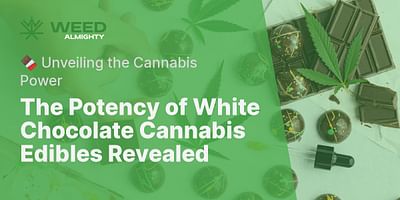 The Potency of White Chocolate Cannabis Edibles Revealed - 🍫 Unveiling the Cannabis Power