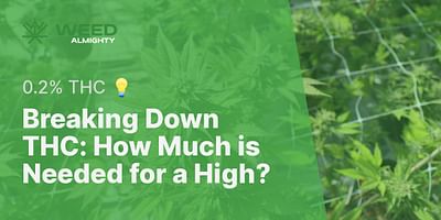 Breaking Down THC: How Much is Needed for a High? - 0.2% THC 💡