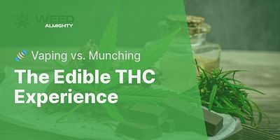 The Edible THC Experience - 🍬 Vaping vs. Munching