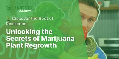 Unlocking the Secrets of Marijuana Plant Regrowth - 🌱 Discover the Root of Resilience