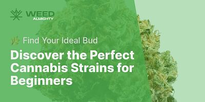 Discover the Perfect Cannabis Strains for Beginners - 🌿 Find Your Ideal Bud