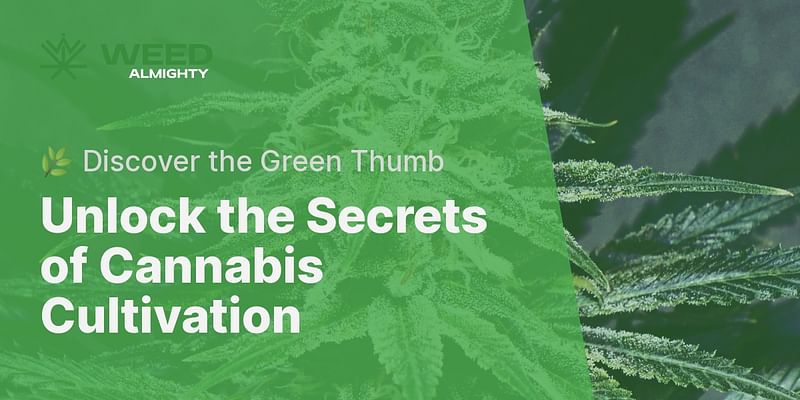Unlock the Secrets of Cannabis Cultivation - 🌿 Discover the Green Thumb